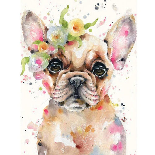 Französische Bulldogge - Premium Painting