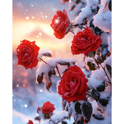 Rote Rosen im Schnee