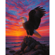 Adler im Sonnenuntergang - Diamond Painting