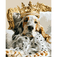 Königlicher Setter - Diamond Painting