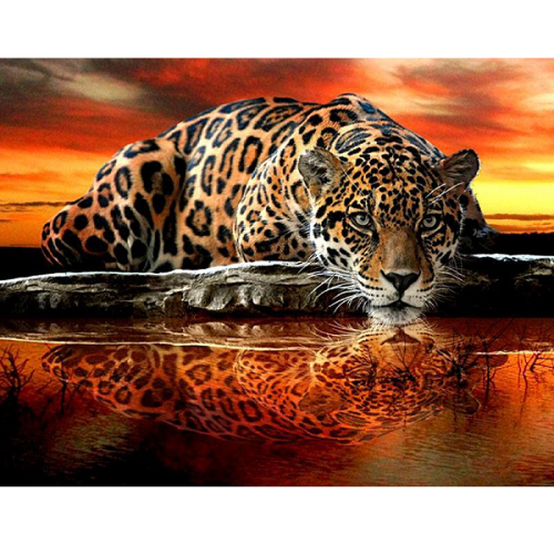 Leopard Diamond painting Deutschland | Diamond painting eigenes bild | Diamond painting kaufen | Diamond painting 5D | Diamond painting amazon | Diamond painting eigenes foto