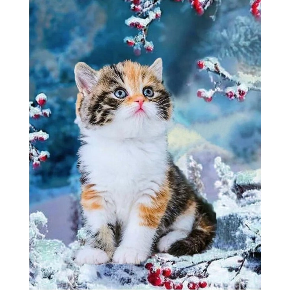Katze im Winter