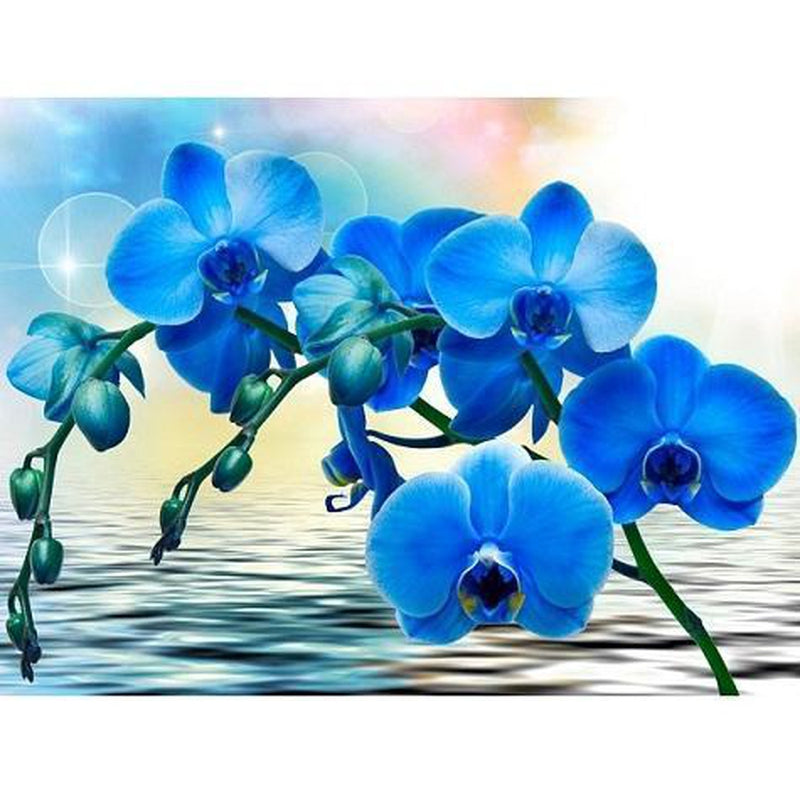 Blaue Orchidee Diamond painting Deutschland | Diamond painting eigenes bild | Diamond painting kaufen | Diamond painting 5D | Diamond painting amazon | Diamond painting eigenes foto