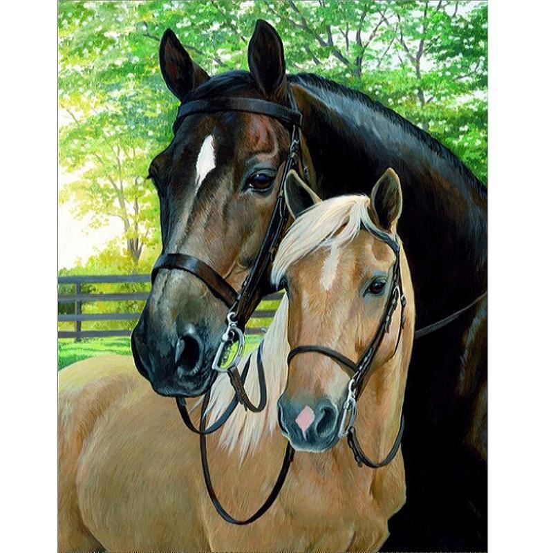 Braunes und schwarzes Pferd Diamond painting Deutschland | Diamond painting eigenes bild | Diamond painting kaufen | Diamond painting 5D | Diamond painting amazon | Diamond painting eigenes foto