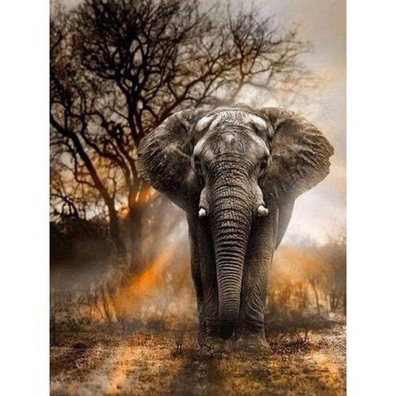 Elefant Diamond painting Deutschland | Diamond painting eigenes bild | Diamond painting kaufen | Diamond painting 5D | Diamond painting amazon | Diamond painting eigenes foto