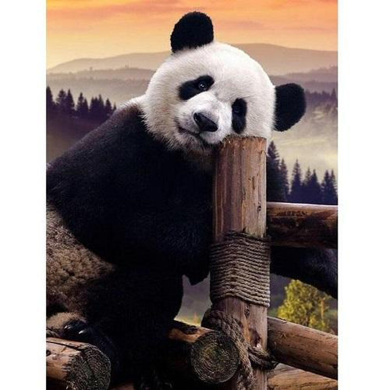 Fauler Panda Diamond painting Deutschland | Diamond painting eigenes bild | Diamond painting kaufen | Diamond painting 5D | Diamond painting amazon | Diamond painting eigenes foto