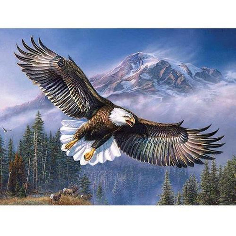 Fliegender Adler Diamond painting Deutschland | Diamond painting eigenes bild | Diamond painting kaufen | Diamond painting 5D | Diamond painting amazon | Diamond painting eigenes foto