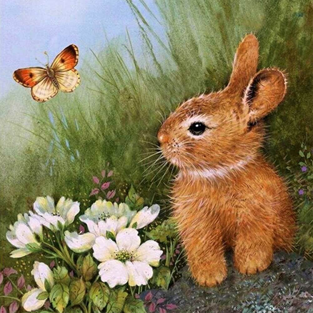 Hase mit Schmetterling Diamond painting Deutschland | Diamond painting eigenes bild | Diamond painting kaufen | Diamond painting 5D | Diamond painting amazon | Diamond painting eigenes foto