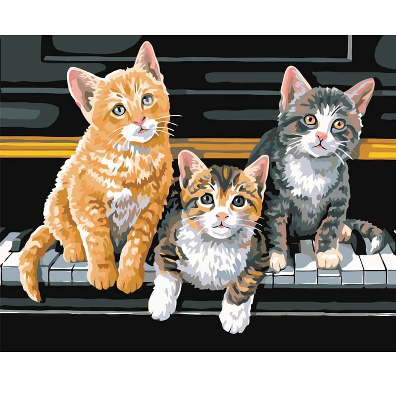 Kittens - Schilderen op nummer Diamond painting | Eigen foto | Dieren | Kopen | Dikke dames | Action | Nederland | Steentjes | Diamant | De Diamond Painter