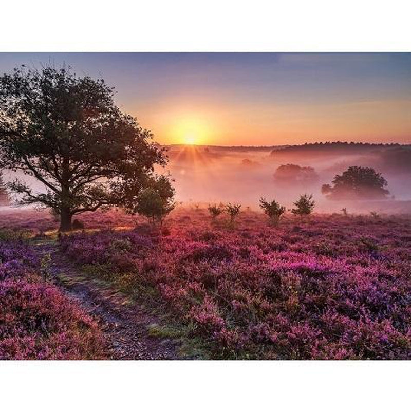 Niederländische Veluwe Diamond painting Deutschland | Diamond painting eigenes bild | Diamond painting kaufen | Diamond painting 5D | Diamond painting amazon | Diamond painting eigenes foto