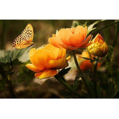Orangefarbene Blumen mit Schmetterling Diamond painting Deutschland | Diamond painting eigenes bild | Diamond painting kaufen | Diamond painting 5D | Diamond painting amazon | Diamond painting eigenes foto