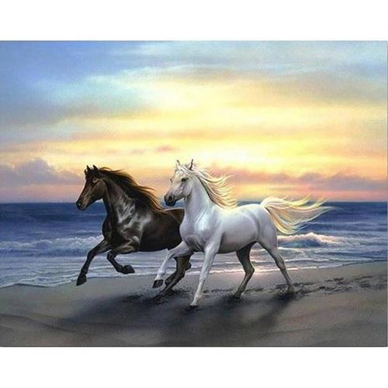 Pferde am Strand Diamond painting Deutschland | Diamond painting eigenes bild | Diamond painting kaufen | Diamond painting 5D | Diamond painting amazon | Diamond painting eigenes foto