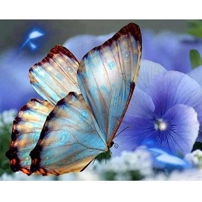 Schmetterling Diamond painting Deutschland | Diamond painting eigenes bild | Diamond painting kaufen | Diamond painting 5D | Diamond painting amazon | Diamond painting eigenes foto