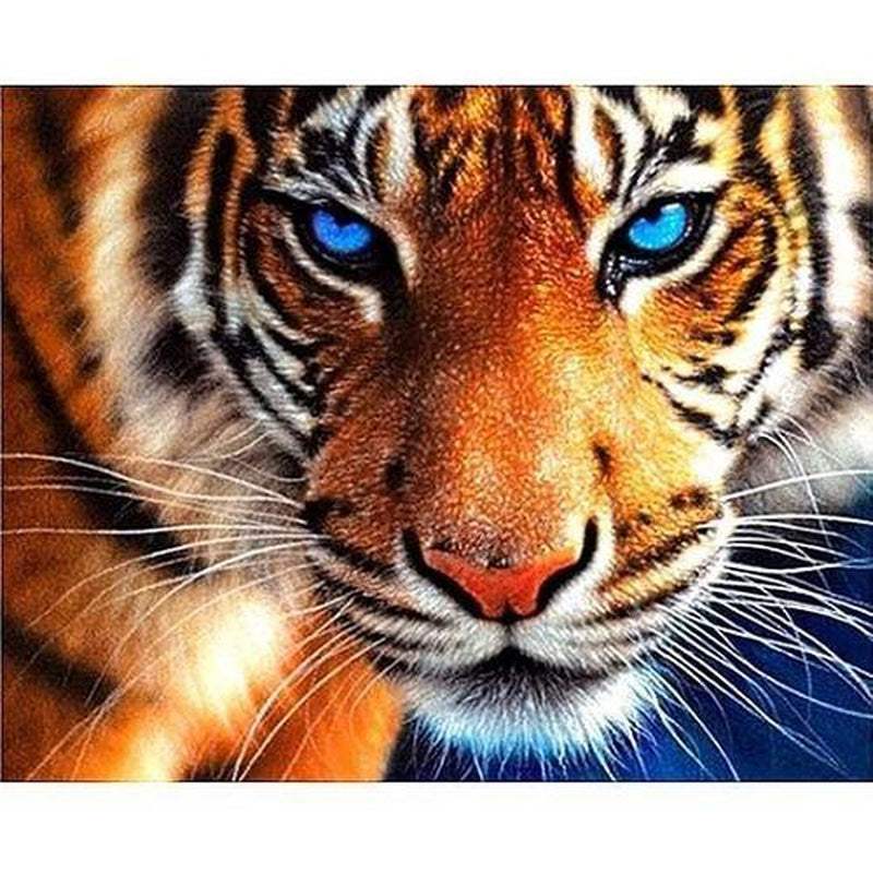 Tiger mit blauen Augen Diamond painting Deutschland | Diamond painting eigenes bild | Diamond painting kaufen | Diamond painting 5D | Diamond painting amazon | Diamond painting eigenes foto